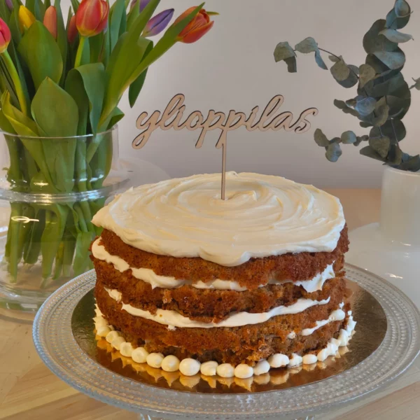 Ylioppilas - kakkukoriste